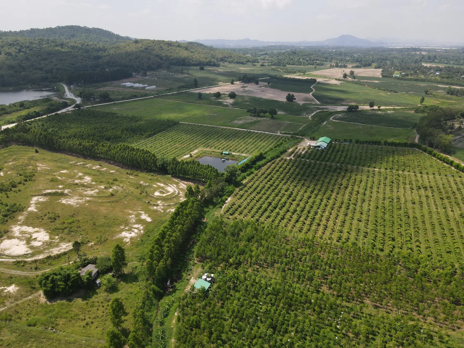 Parcellaire et etang dans un environnement naturel