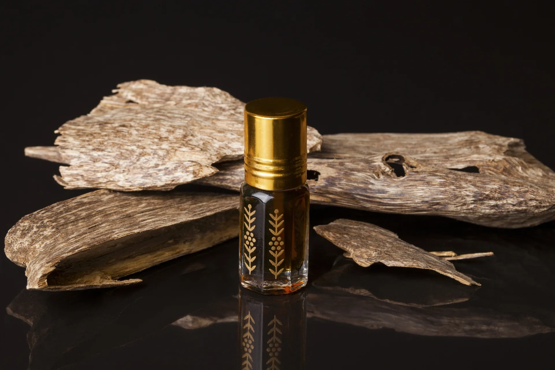 Bois d'agar et ressources tangibles selectionnees